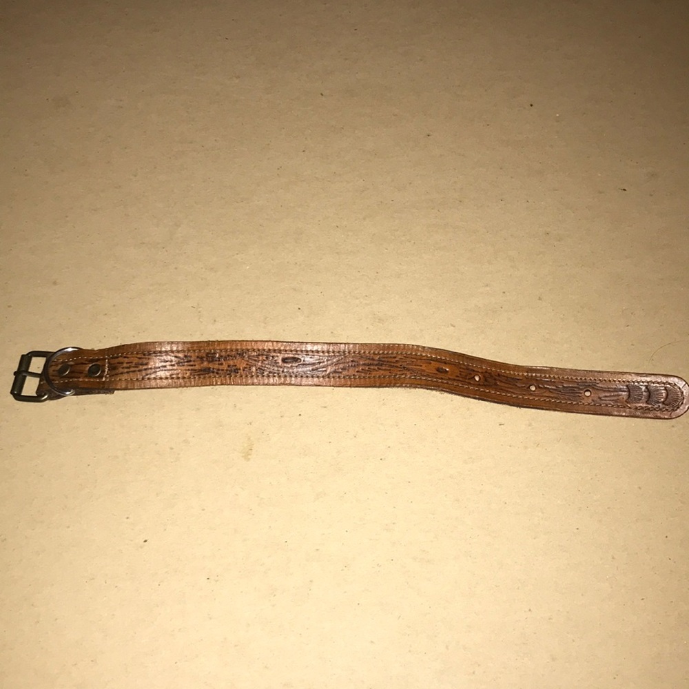 Small dog collar